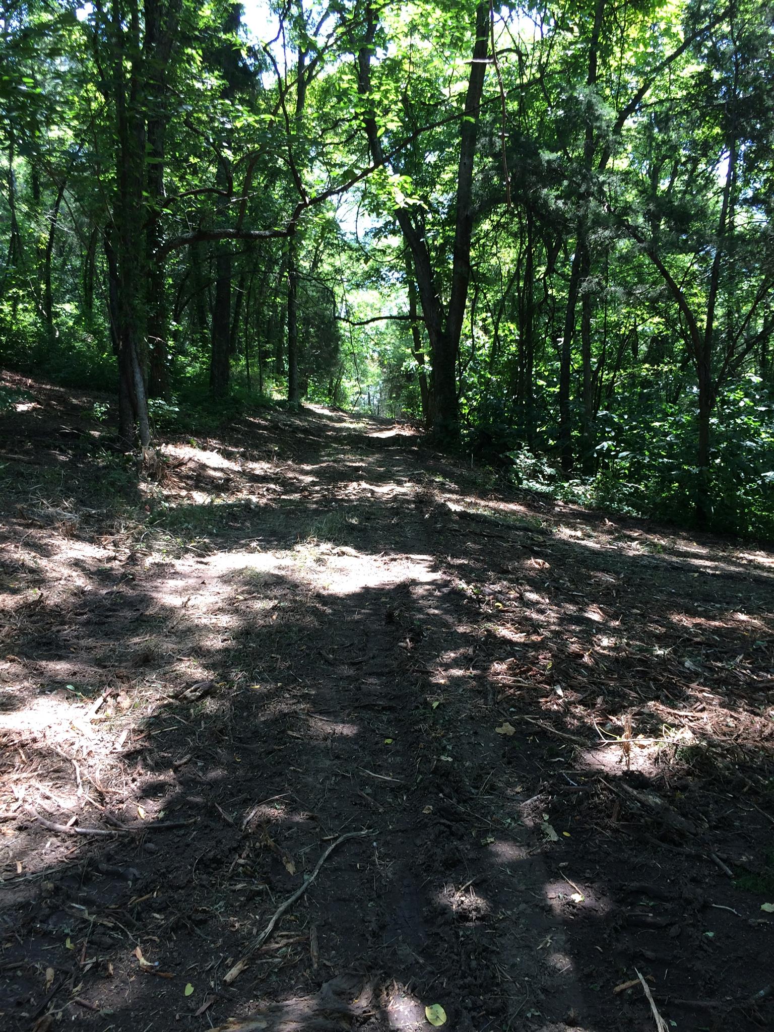 6448 Nathan Smith Road College Grove, TN 37046 - Photo 6 of 13 a view of a tree with a yard