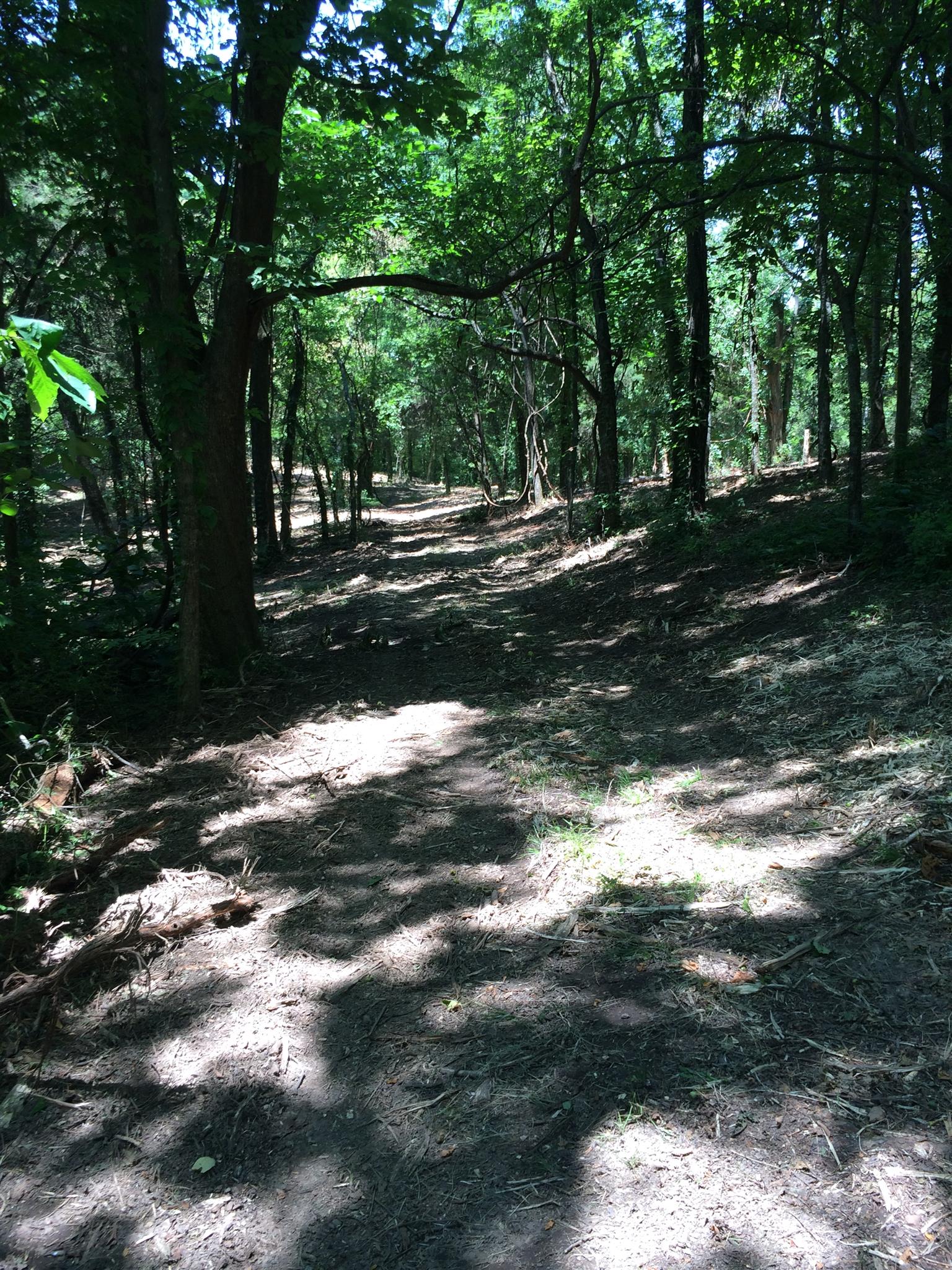 6448 Nathan Smith Road College Grove, TN 37046 - Photo 7 of 13 a view of a yard with large trees