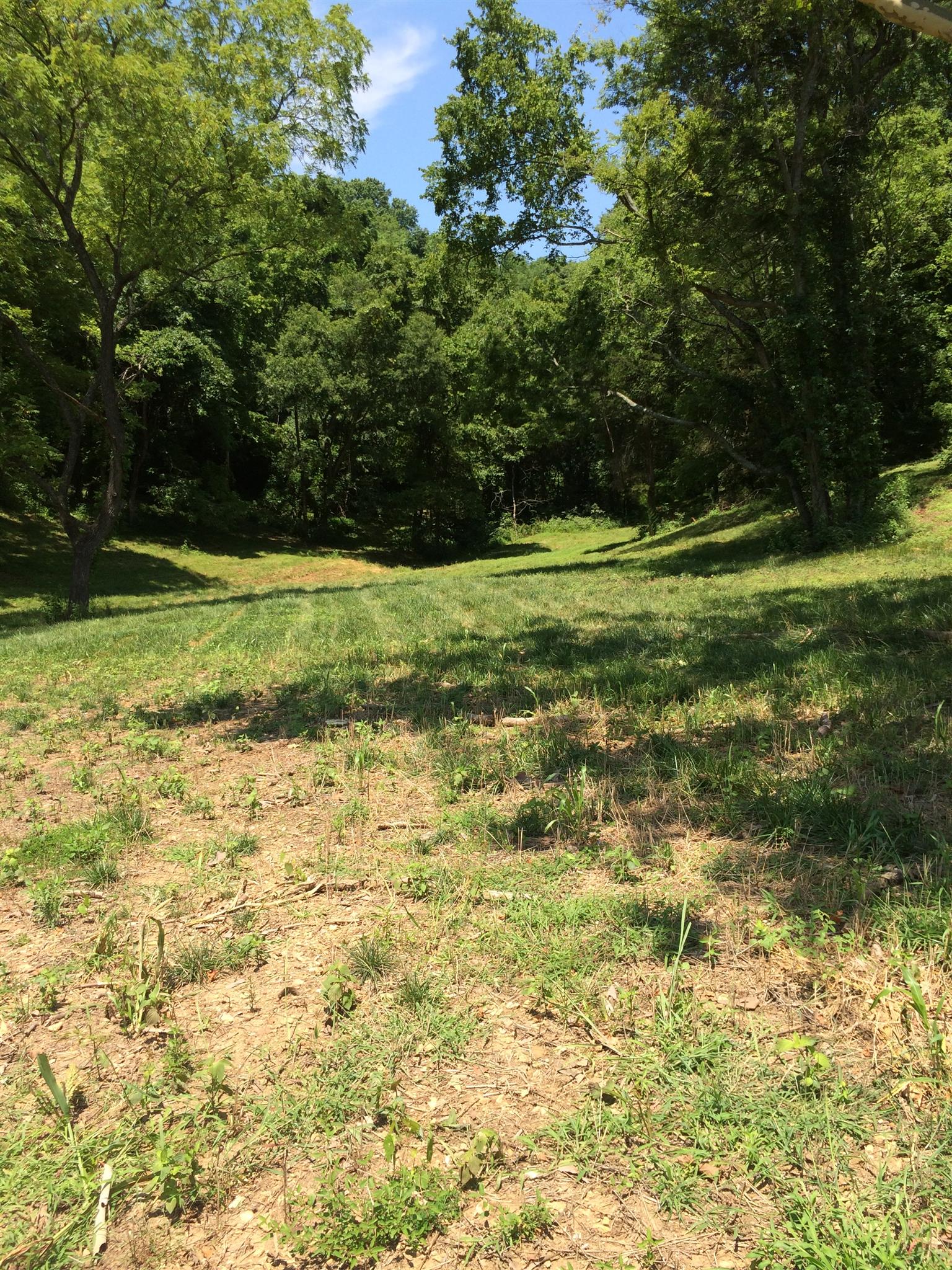6448 Nathan Smith Road College Grove, TN 37046 - Photo 8 of 13 a view of a field with trees
