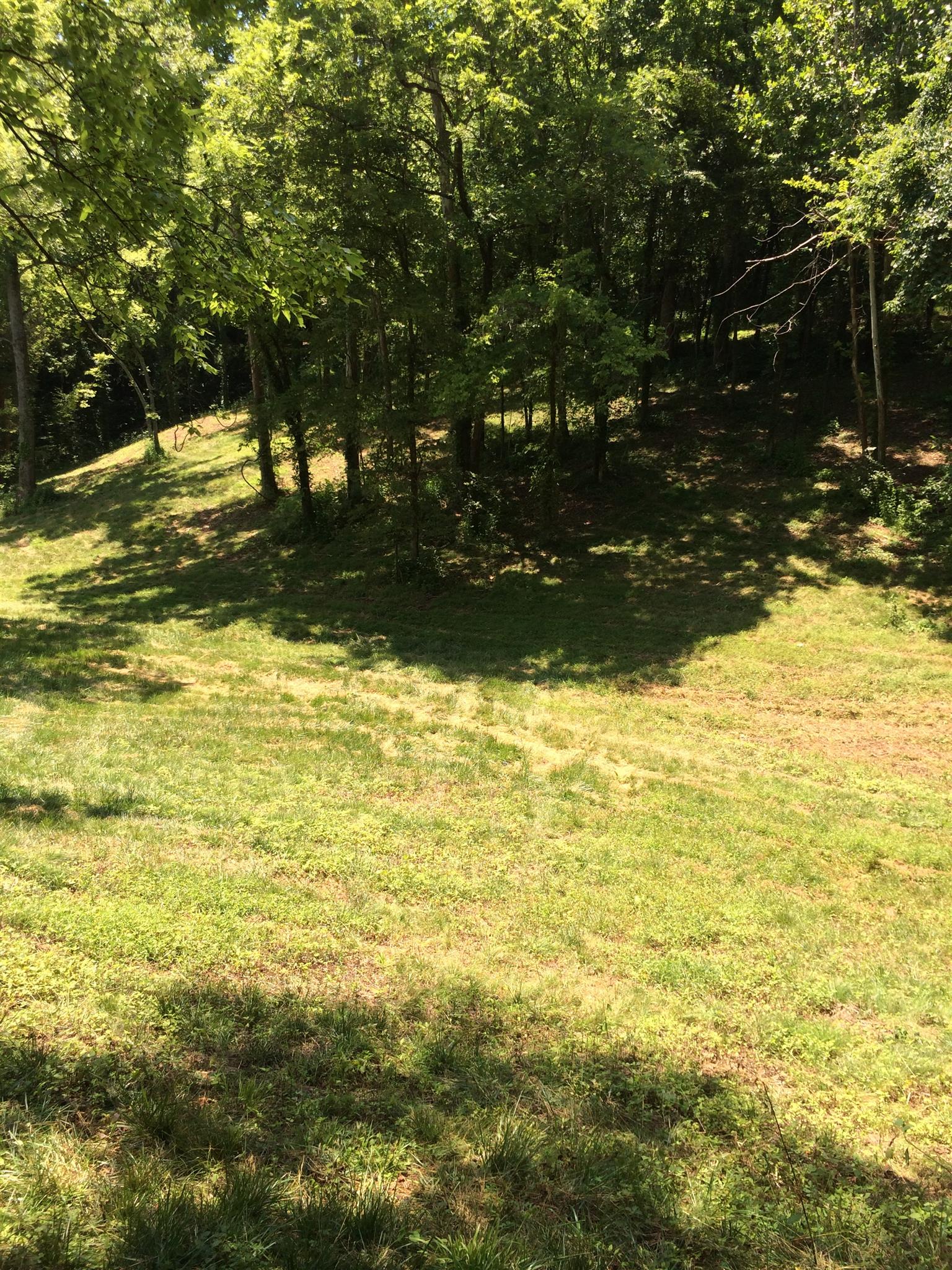 6448 Nathan Smith Road College Grove, TN 37046 - Photo 10 of 13 a view of ocean view