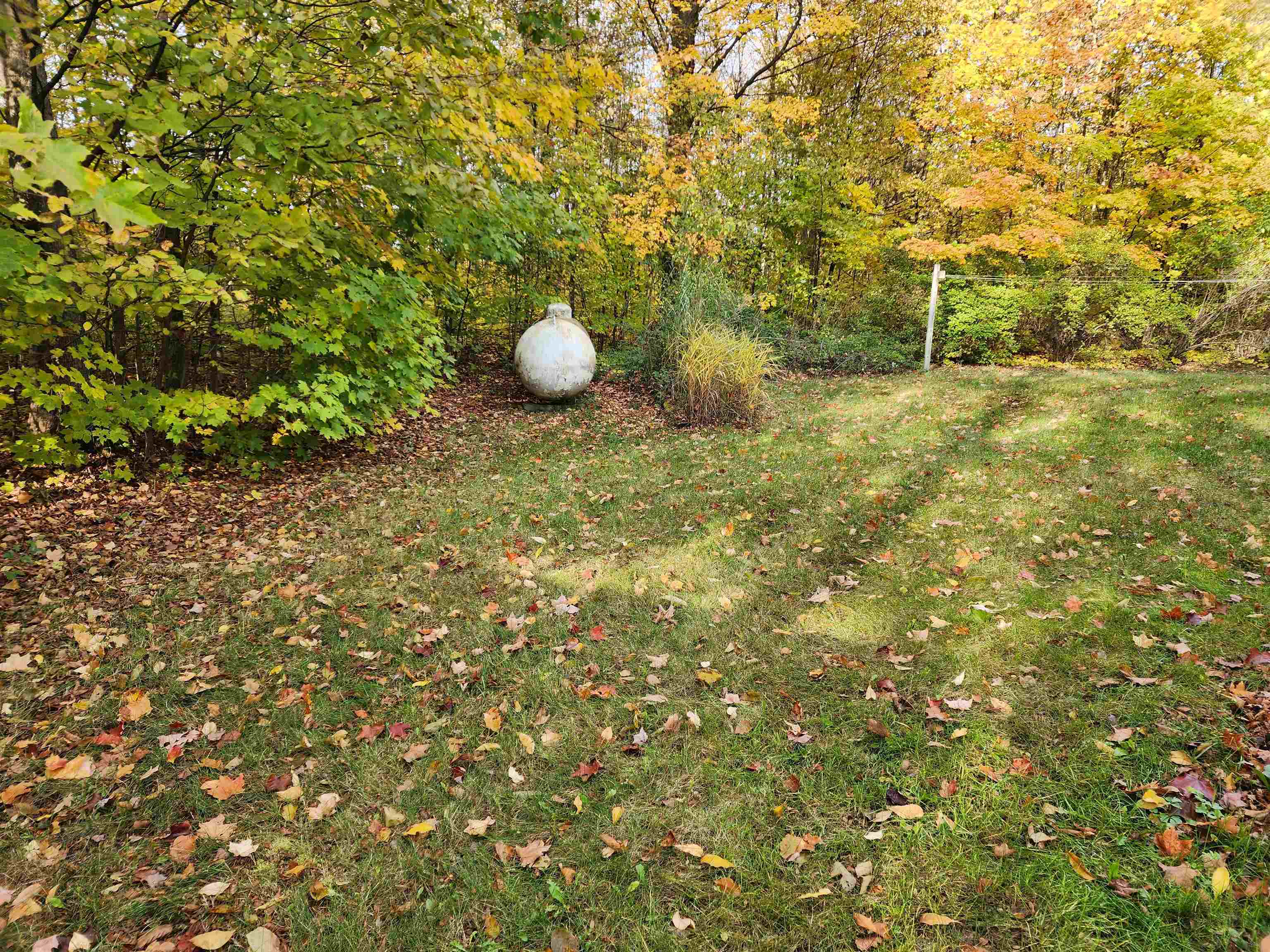 10405 Bailey Road Mancelona, MI 49659 - Photo 12 of 58 1918040-2ef9a3f9-1a2a-4754-b3d3-cdd4fa49911c.JPG