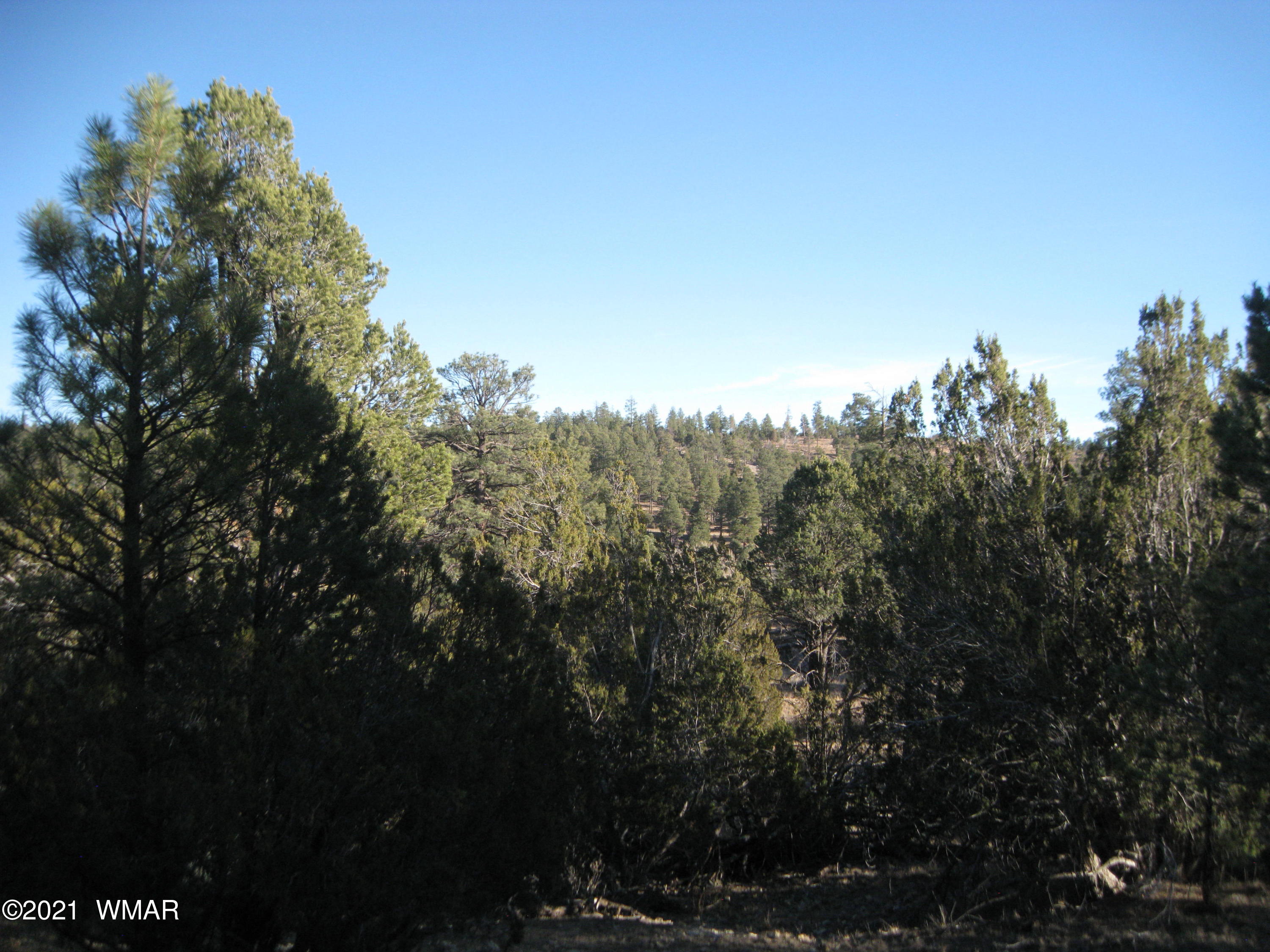 2874 Rockledge Road Heber, AZ 85928 - Photo 1 of 7