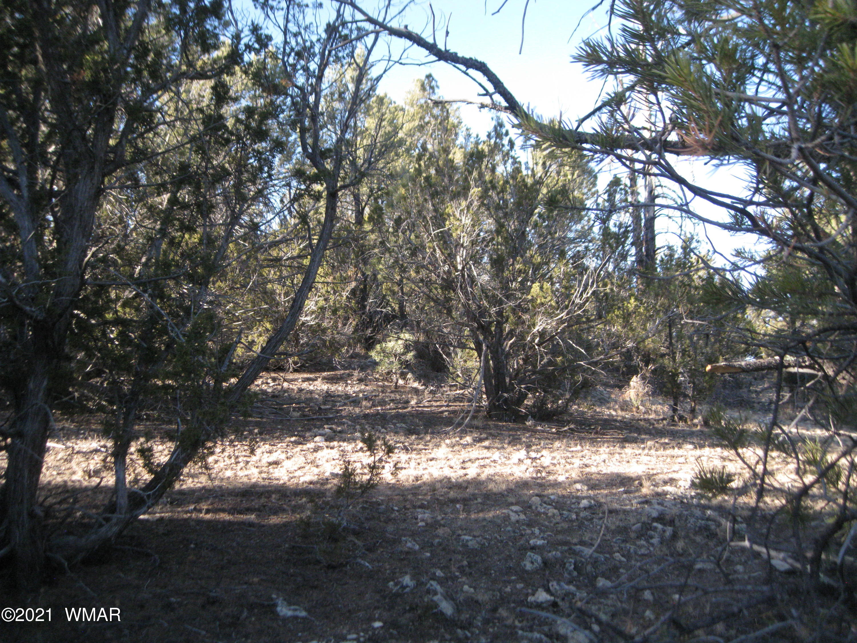 2874 Rockledge Road Heber, AZ 85928 - Photo 3 of 7