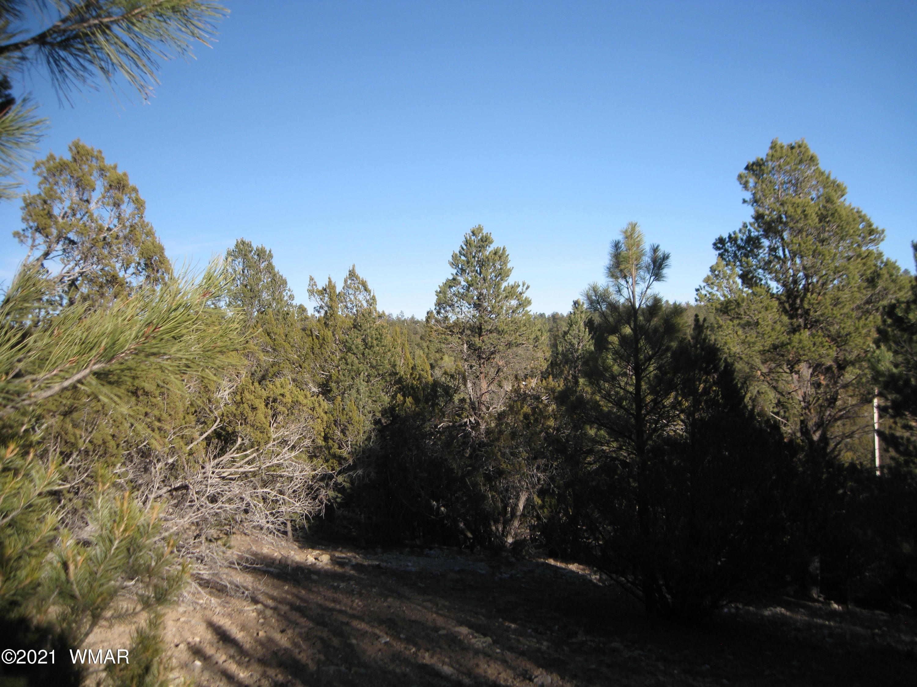 2874 Rockledge Road Heber, AZ 85928 - Photo 5 of 7