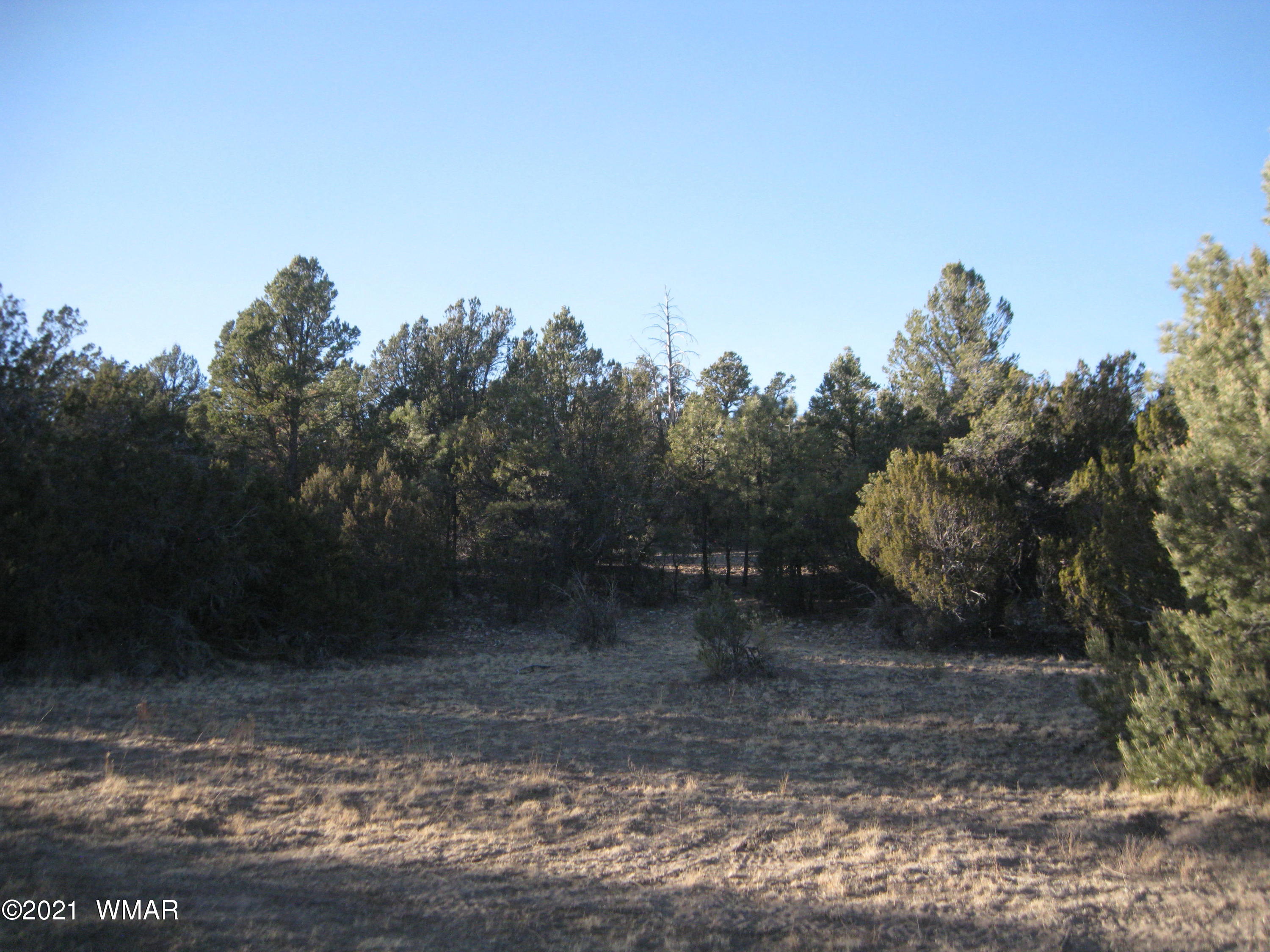2874 Rockledge Road Heber, AZ 85928 - Photo 6 of 7