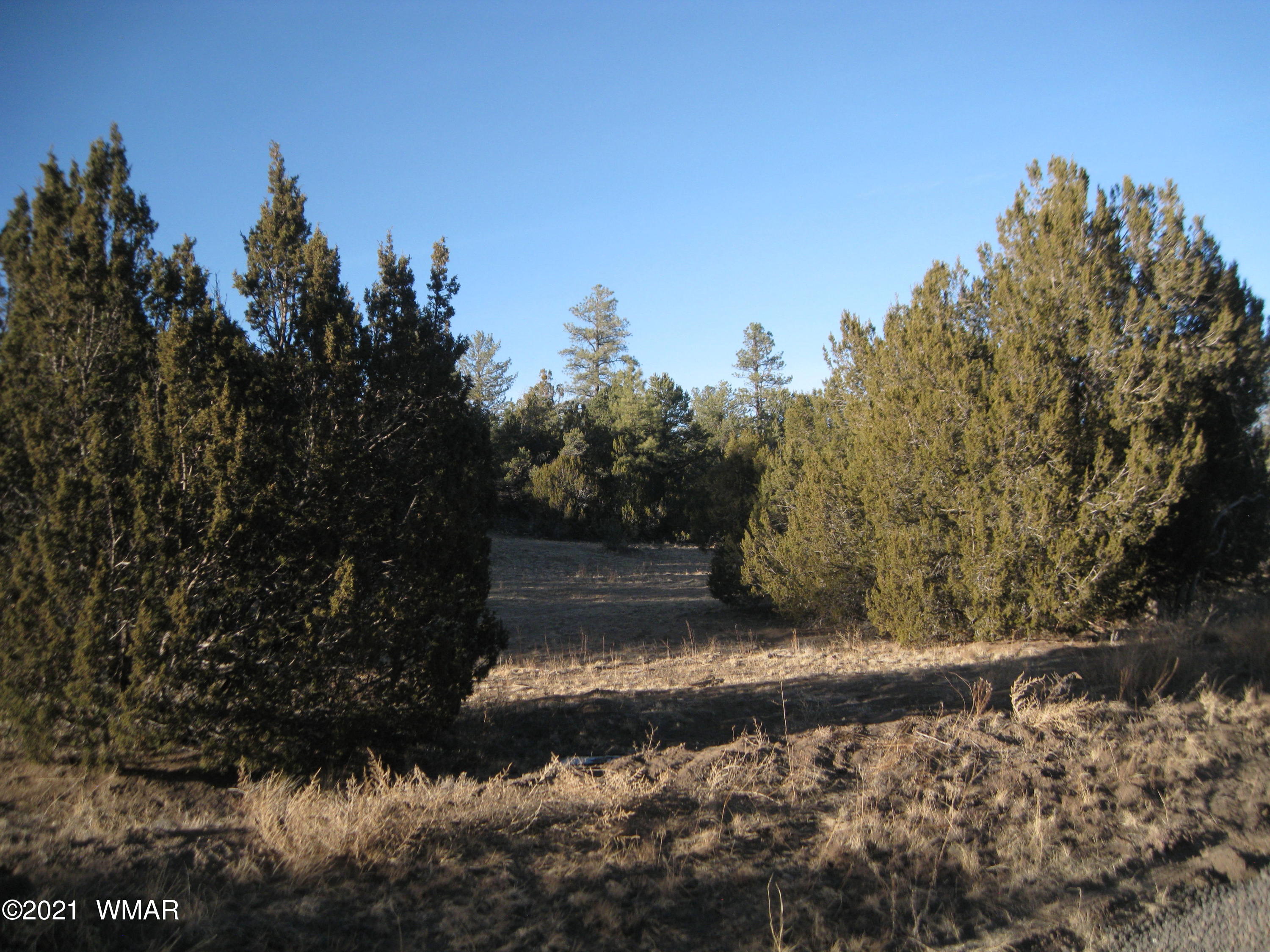 2874 Rockledge Road Heber, AZ 85928 - Photo 7 of 7