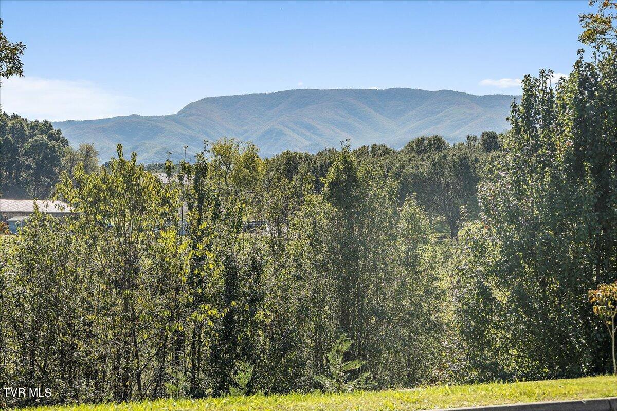 145 Katie Lane Chuckey, TN 37641 - Photo 4 of 54 02-128A1774