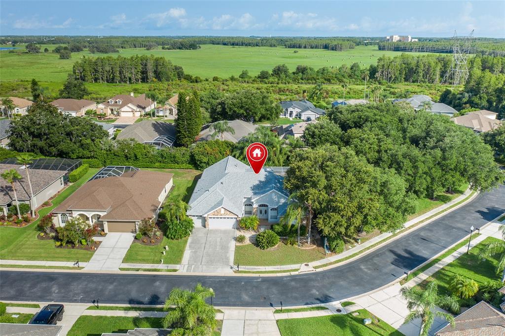 2151 Edelweiss Loop Trinity, FL 34655 - Photo 4 of 78