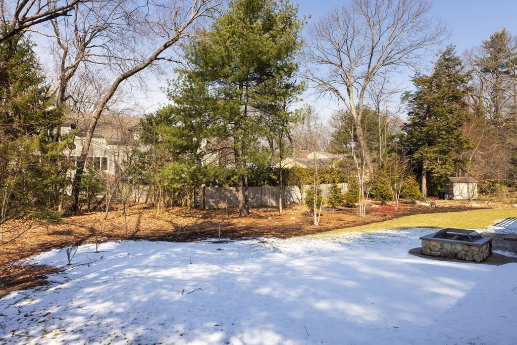 34 Fairbanks Road Lexington, MA 02421 - Photo 32 of 36 a view of yard with large trees
