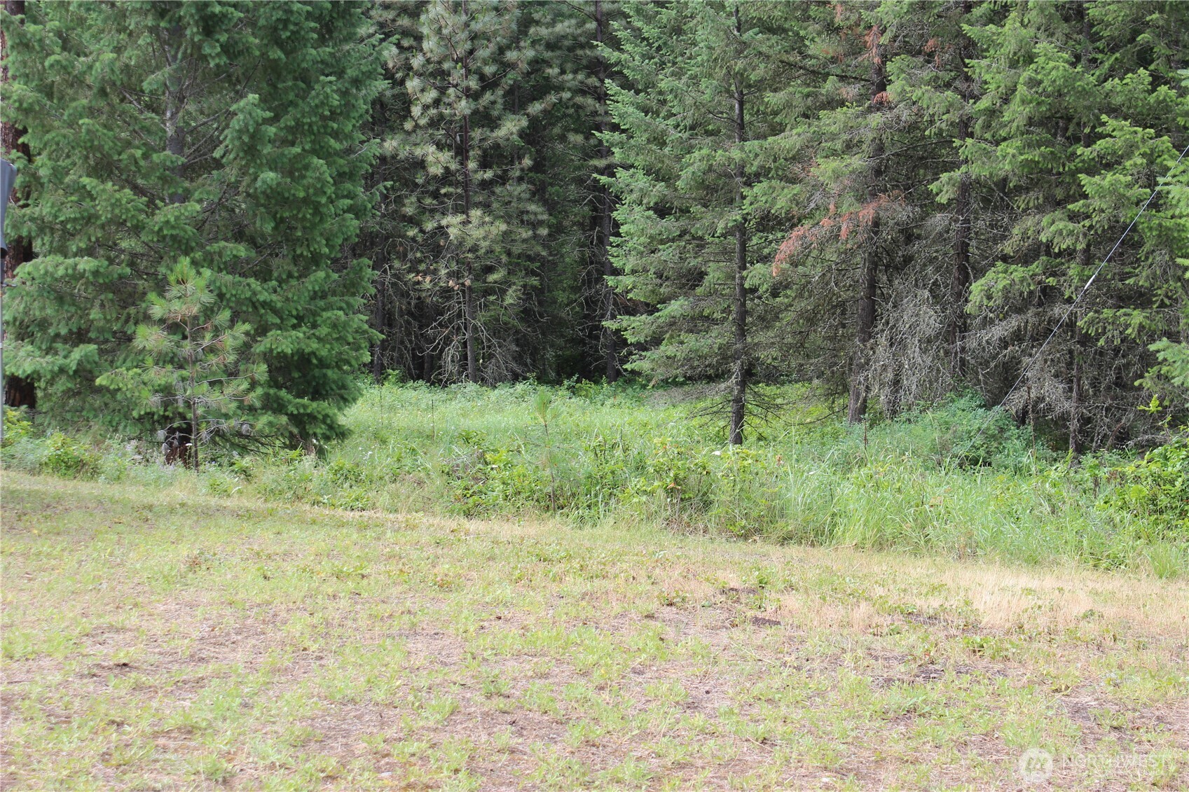 2514 Bridgeman-Rettinger Road Kettle Falls, WA 99141 - Photo 17 of 37 Gallery Image 17