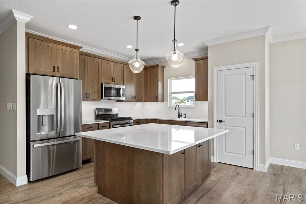 2 Maple Expanded At Langeneckert Farms Estates Street St. Louis, MO 63129 - Photo 14 of 23