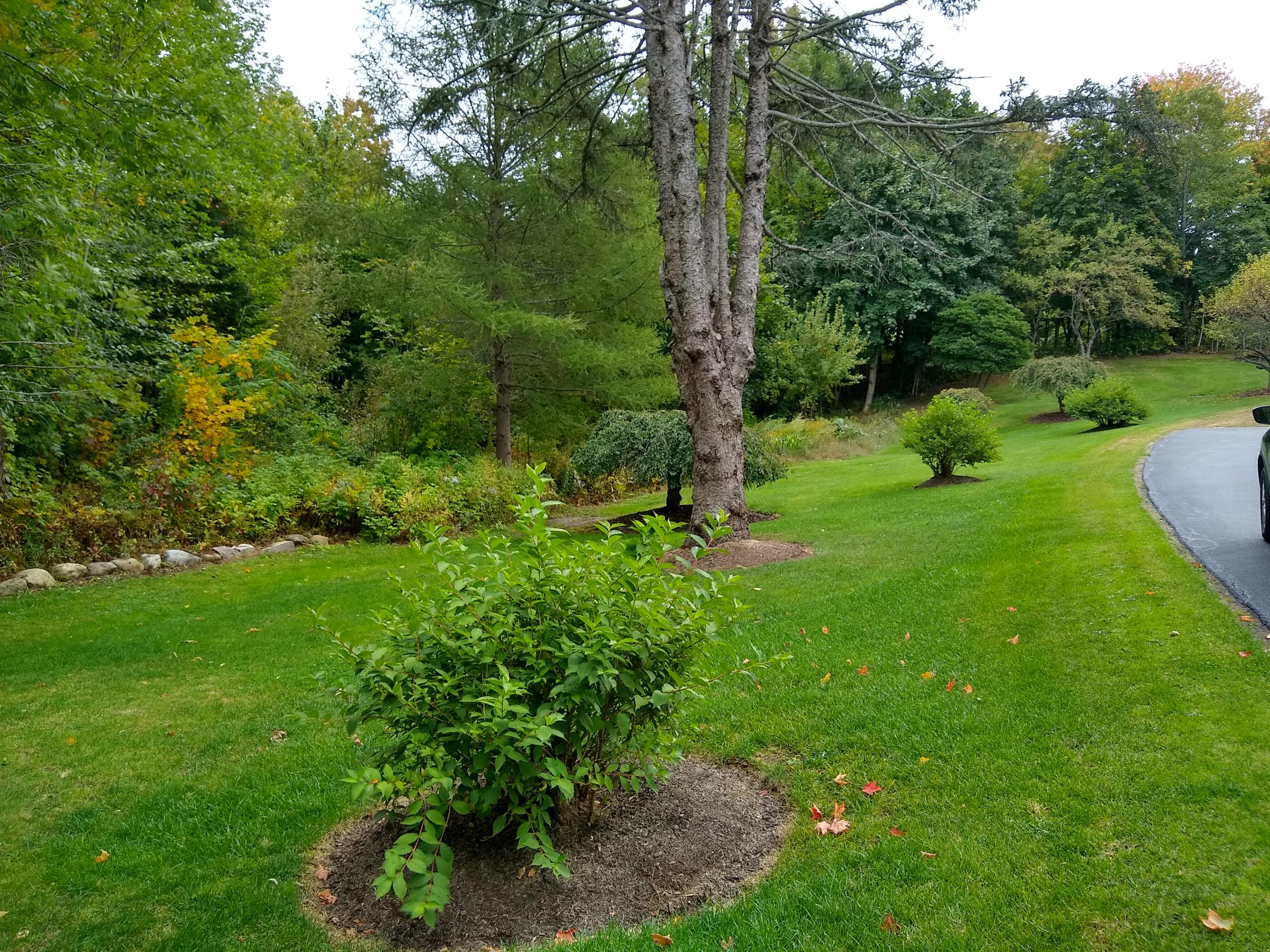 19 Prospect Street Wilton, ME 04294 - Photo 46 of 55 IMG_20190925_151858440_HDR
