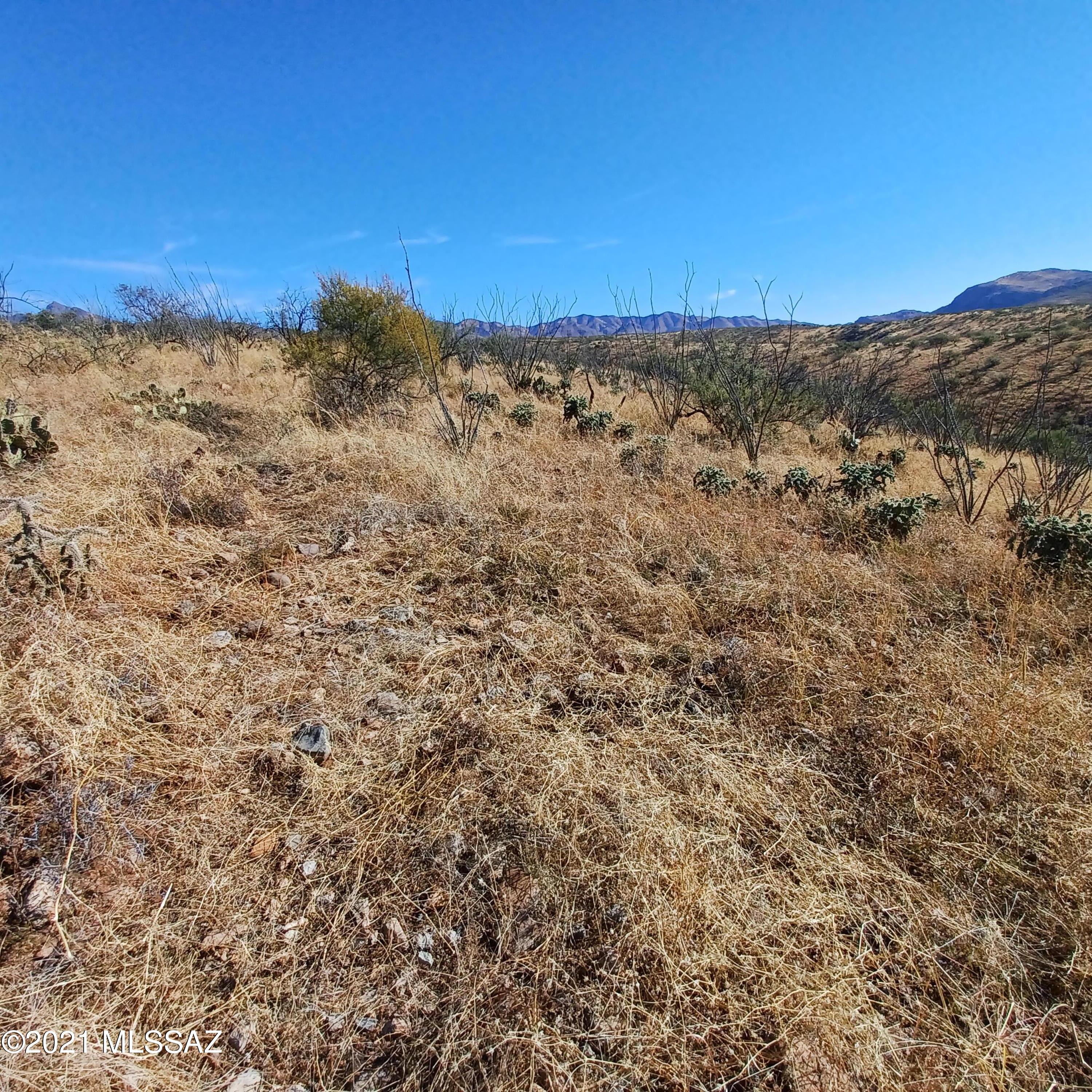 209 Camino Kennedy, Unit 55C Rio Rico, AZ 85648 - Photo 10 of 10