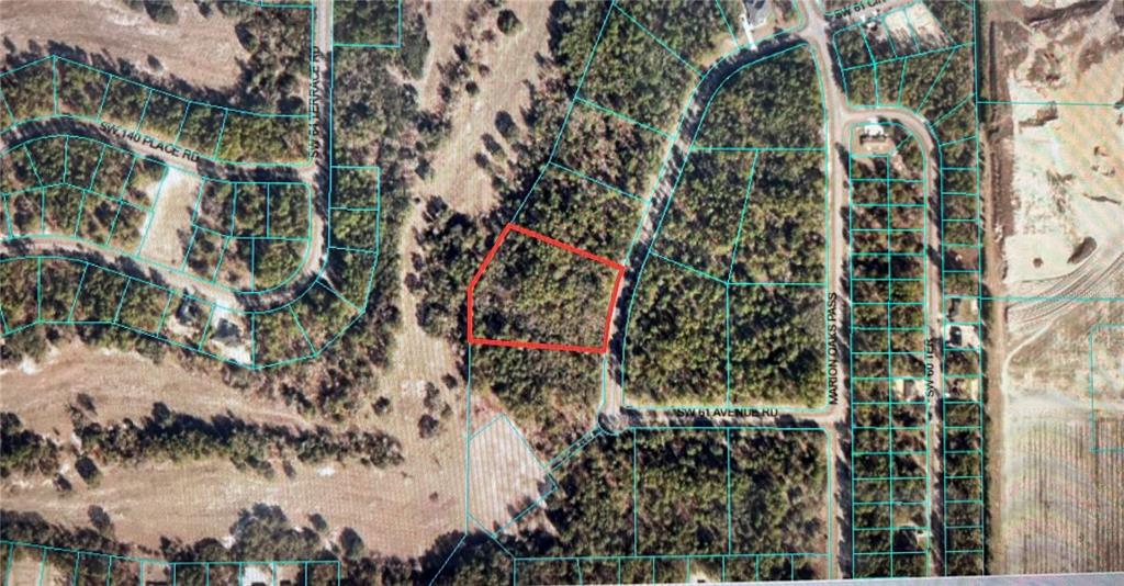 Tba Southwest Tba Sw 61st Ave Road Ocala, FL 34473 - Photo 1 of 1