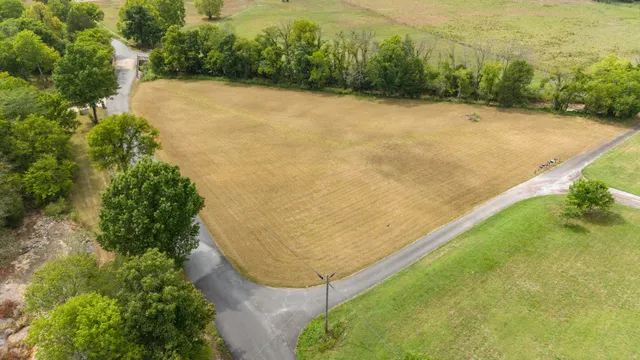 a view of a yard with an outdoor space