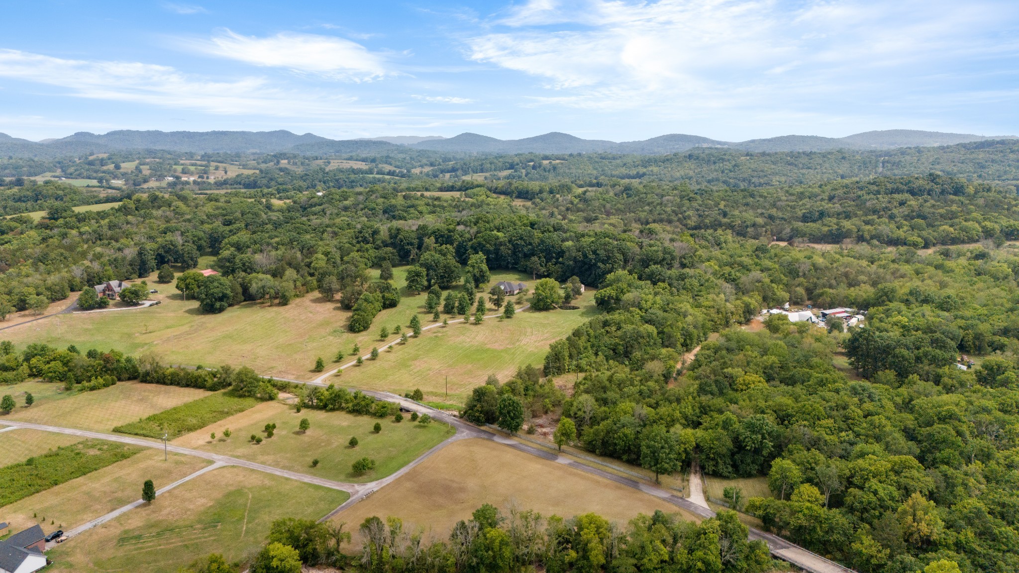 445 Puckett Road Watertown, TN 37184 - Photo 4 of 31 an aerial view of residential houses with outdoor space and trees