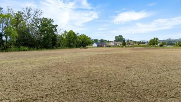 a view of a field with trees in the background
