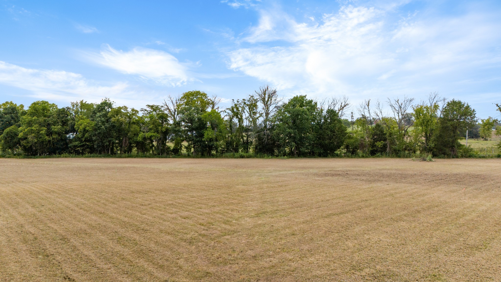 445 Puckett Road Watertown, TN 37184 - Photo 9 of 31 a view of a field with trees in the background