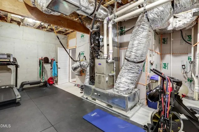 a view of path and trees