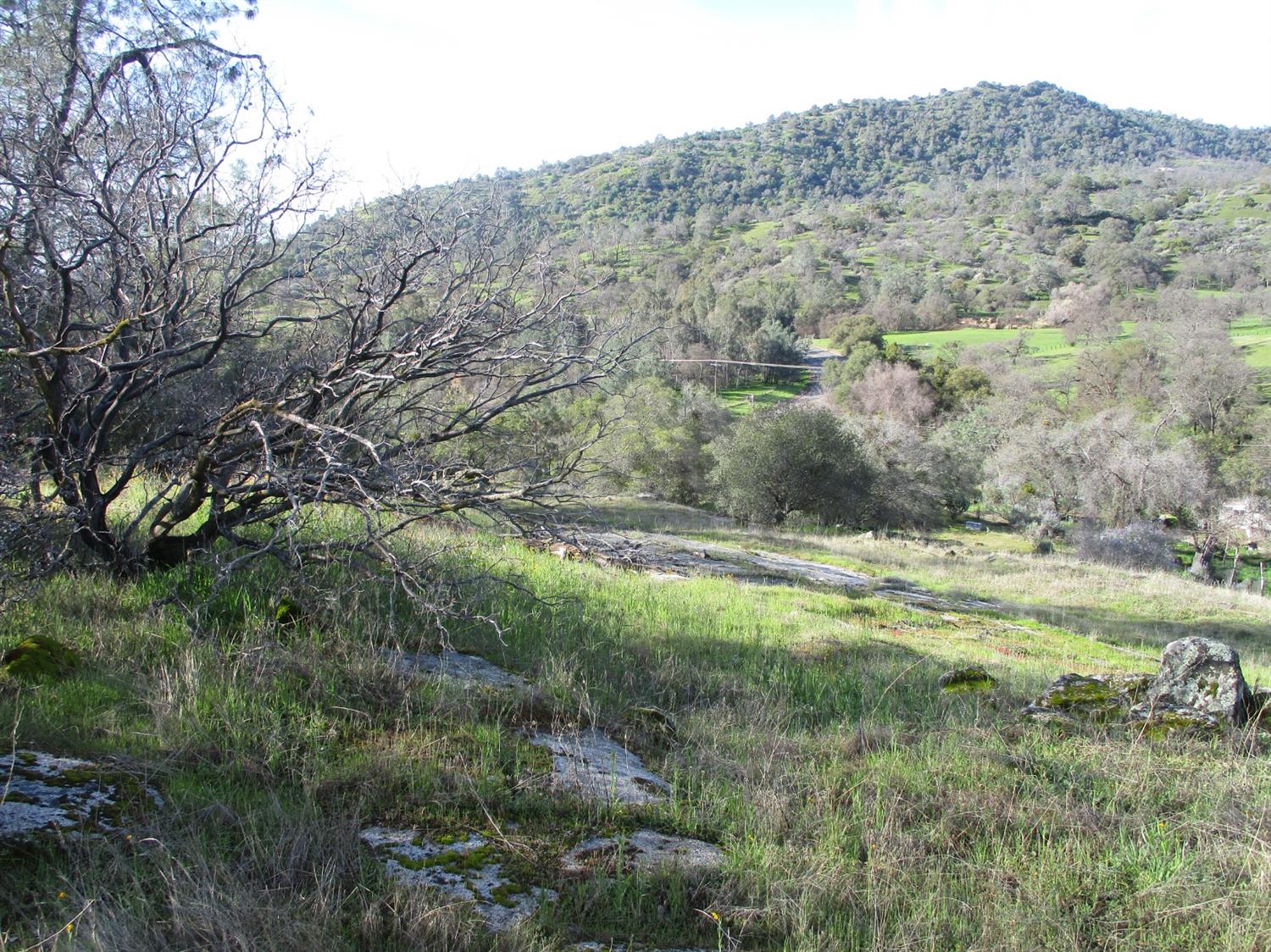 29490 Morgan Canyon Road Prather, CA 93651 - Photo 11 of 40 Gallery Image 11