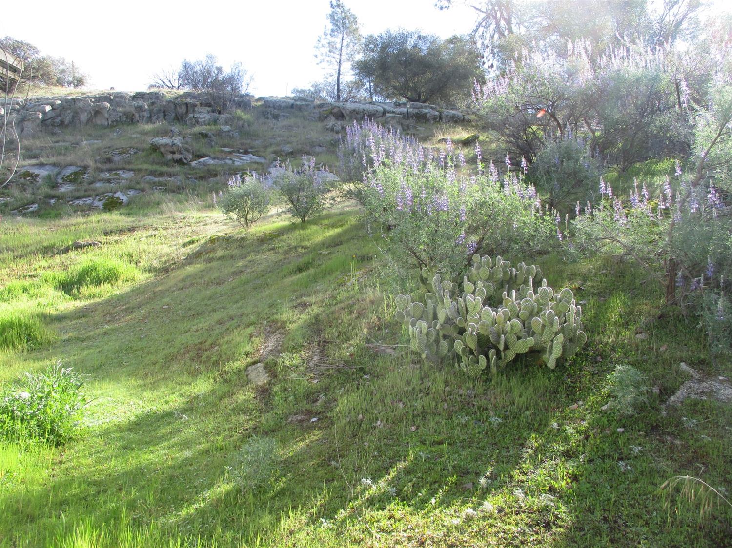 29490 Morgan Canyon Road Prather, CA 93651 - Photo 17 of 40 Gallery Image 17