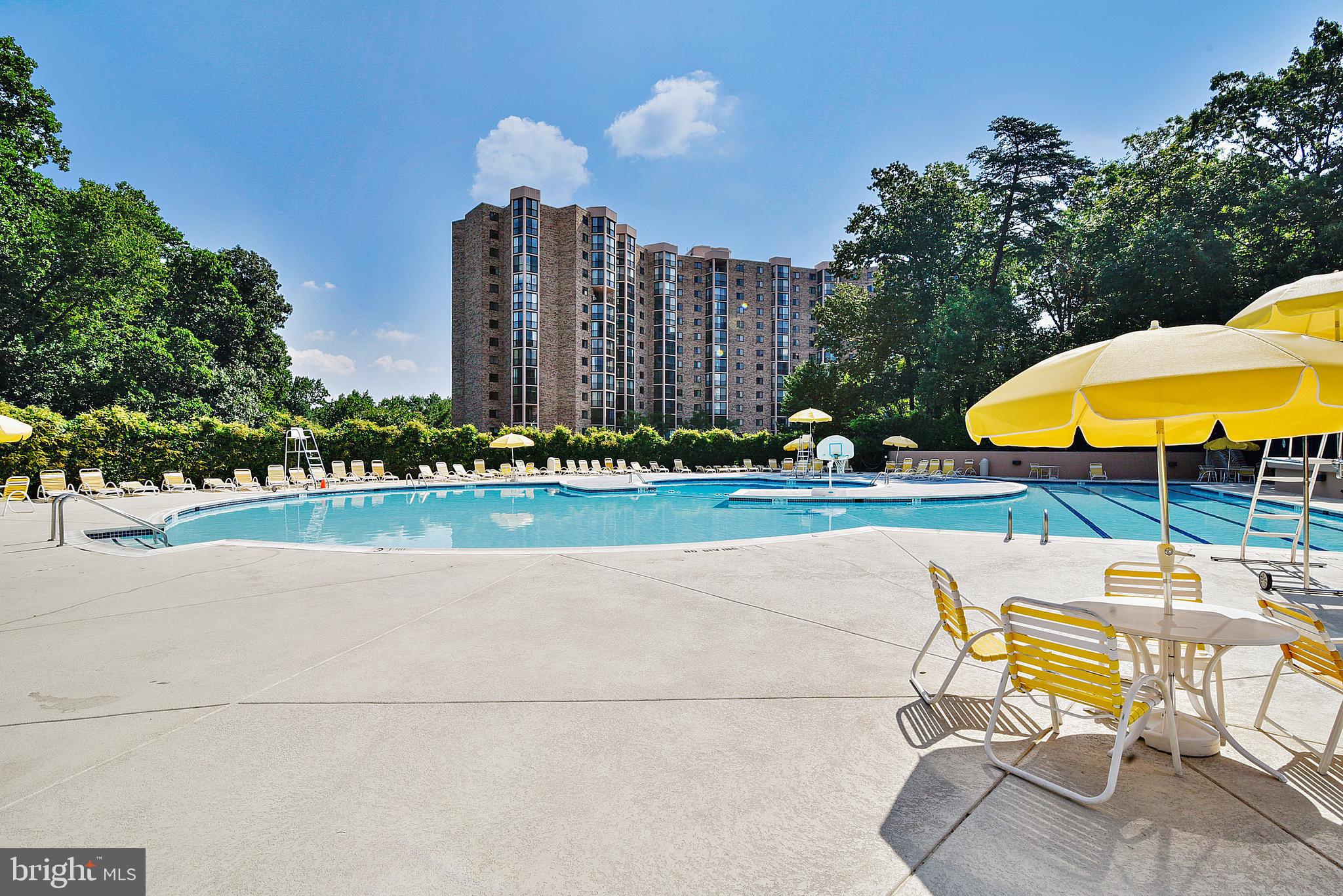 5904 Mt Eagle Drive, Unit 1109 Alexandria, VA 22303 - Photo 35 of 43 a view of a swimming pool with lawn chairs under an umbrella