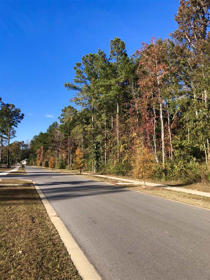 330 Saffron Avenue Fairhope, AL 36532 - Photo 11 of 13 Tree Lined Street
