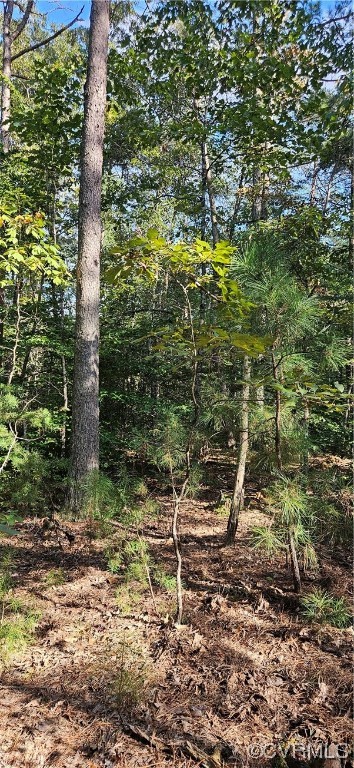 0 Level Green Road St. Stephens Church, VA 23148 - Photo 1 of 3 Gallery Image 1