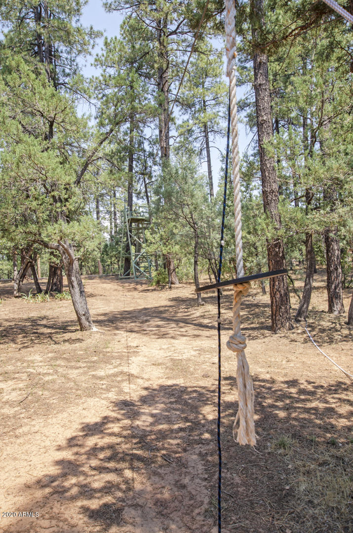 8143 Ralls Drive Strawberry, AZ 85544 - Photo 53 of 74 Zip line