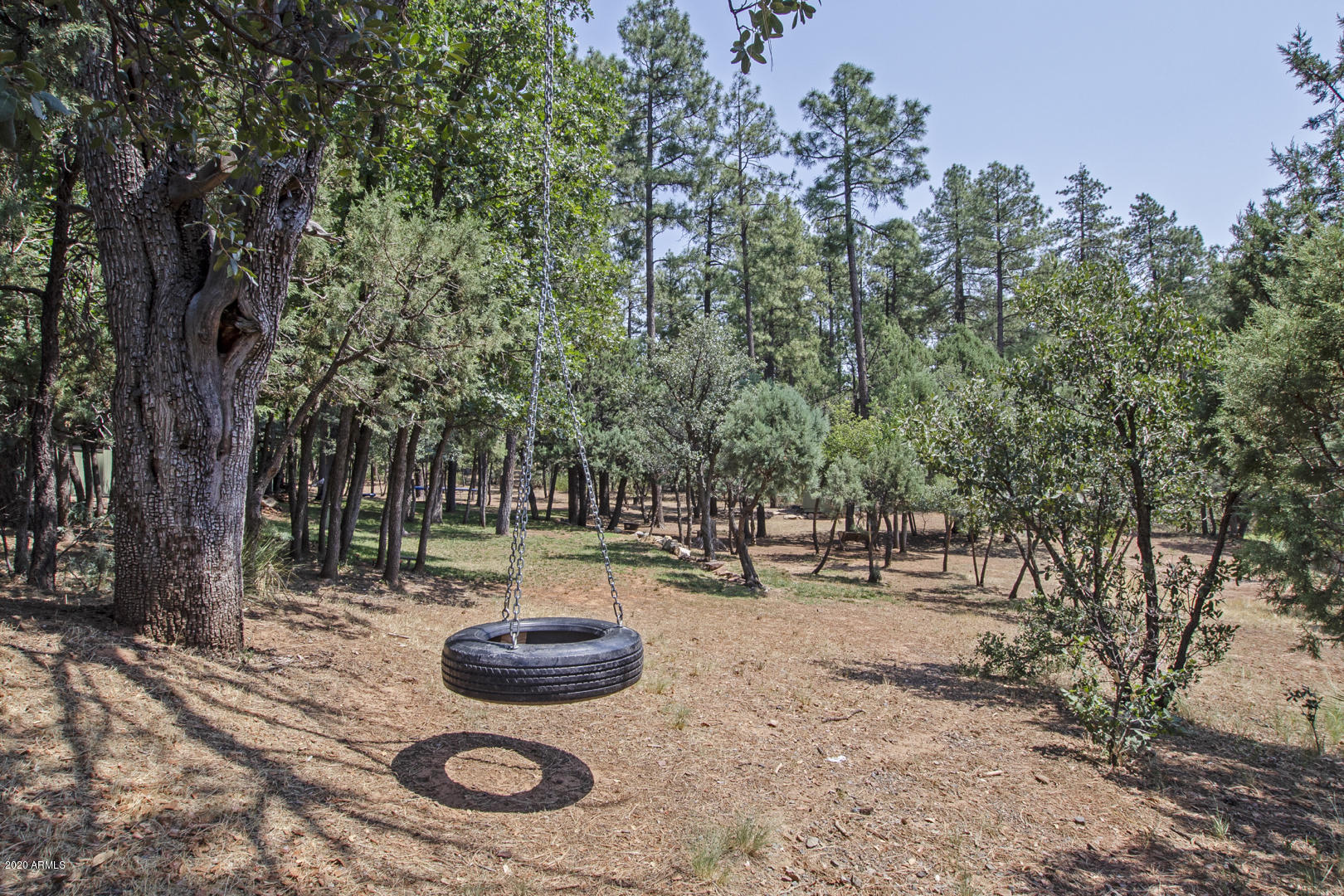 8143 Ralls Drive Strawberry, AZ 85544 - Photo 56 of 74 Backyard - tire swing