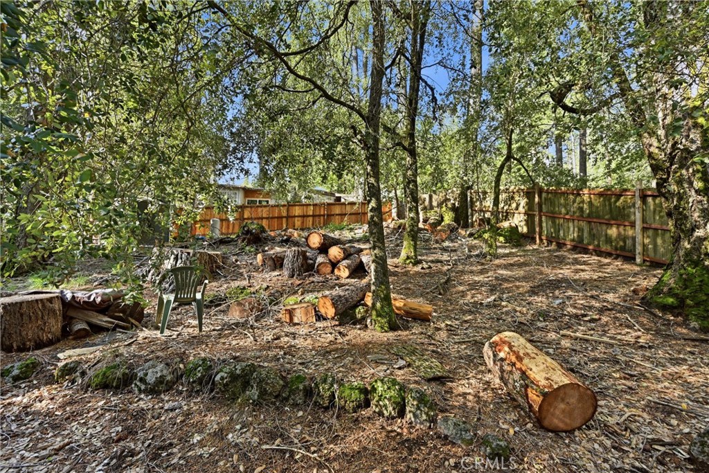 10313 Brookside Drive Middletown, CA 95461 - Photo 18 of 20 a view of outdoor space