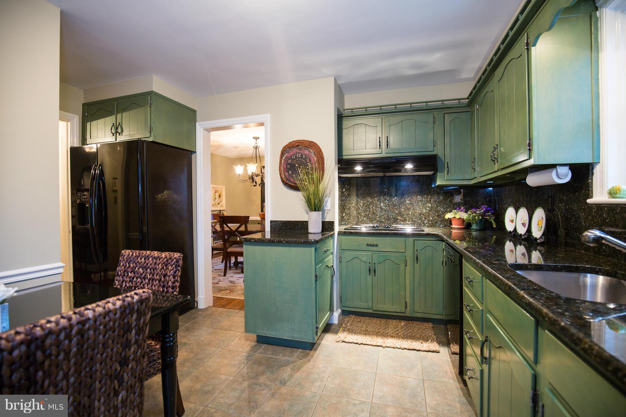 210 Indian Spring Drive Silver Spring, MD 20901 - Photo 11 of 30 Kitchen