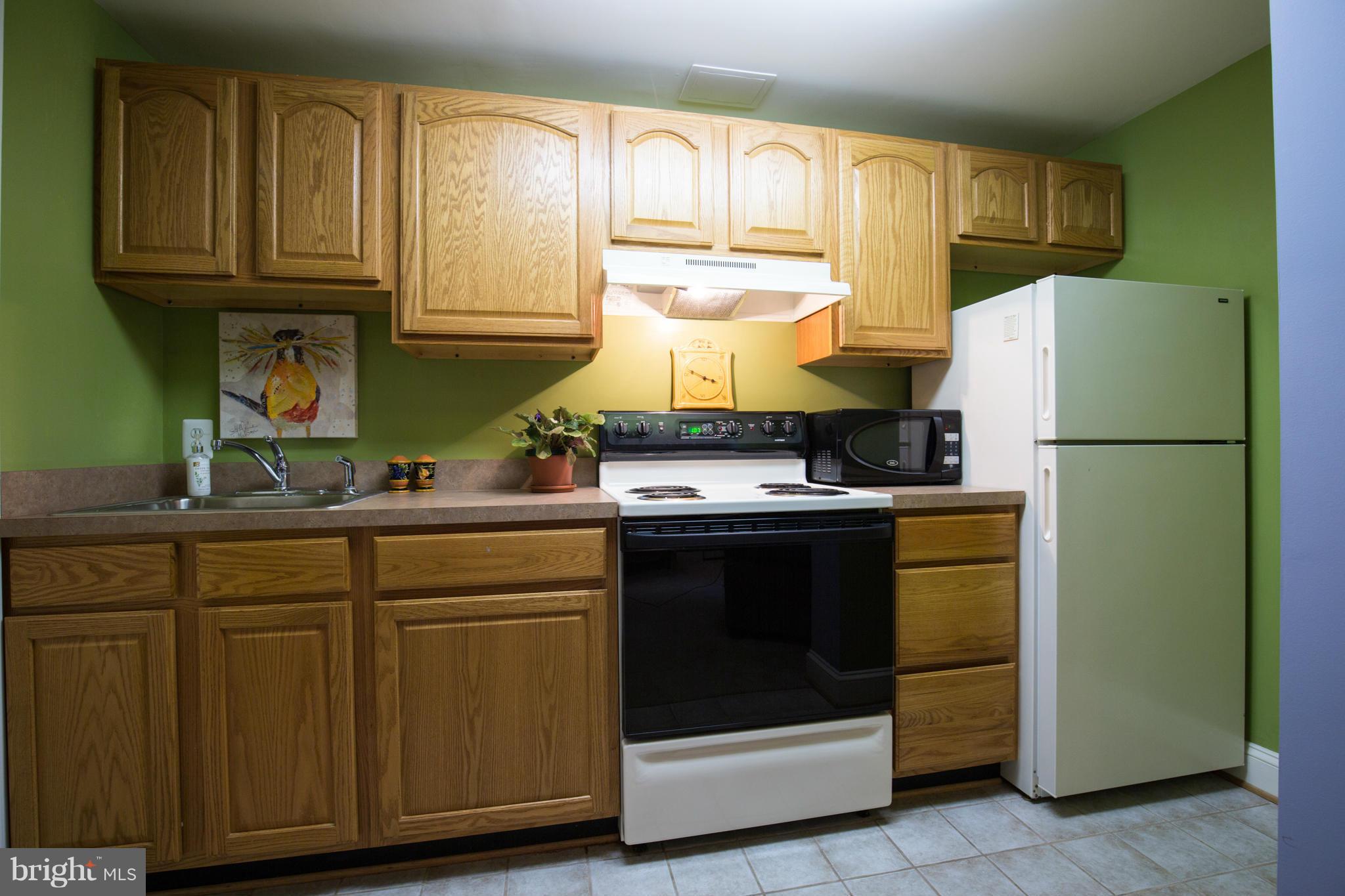 210 Indian Spring Drive Silver Spring, MD 20901 - Photo 29 of 30 Basement Kitchen