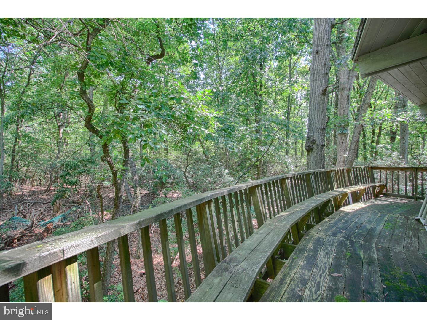 1146 A Barbara Drive Cherry Hill, NJ 08003 - Photo 19 of 25