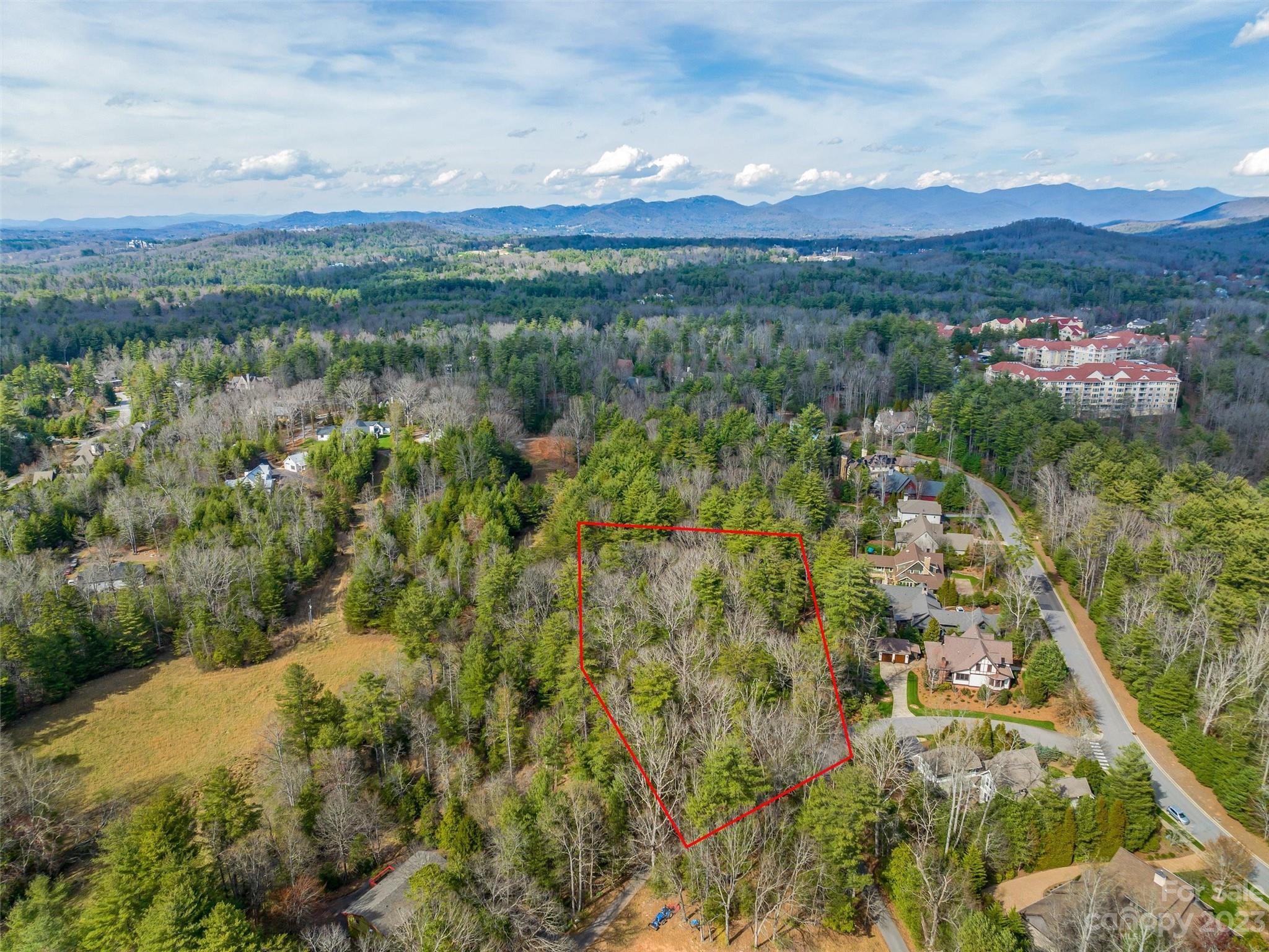 99999 A Racquet Club Road Asheville, NC 28803 - Photo 3 of 24 Gallery Image 3