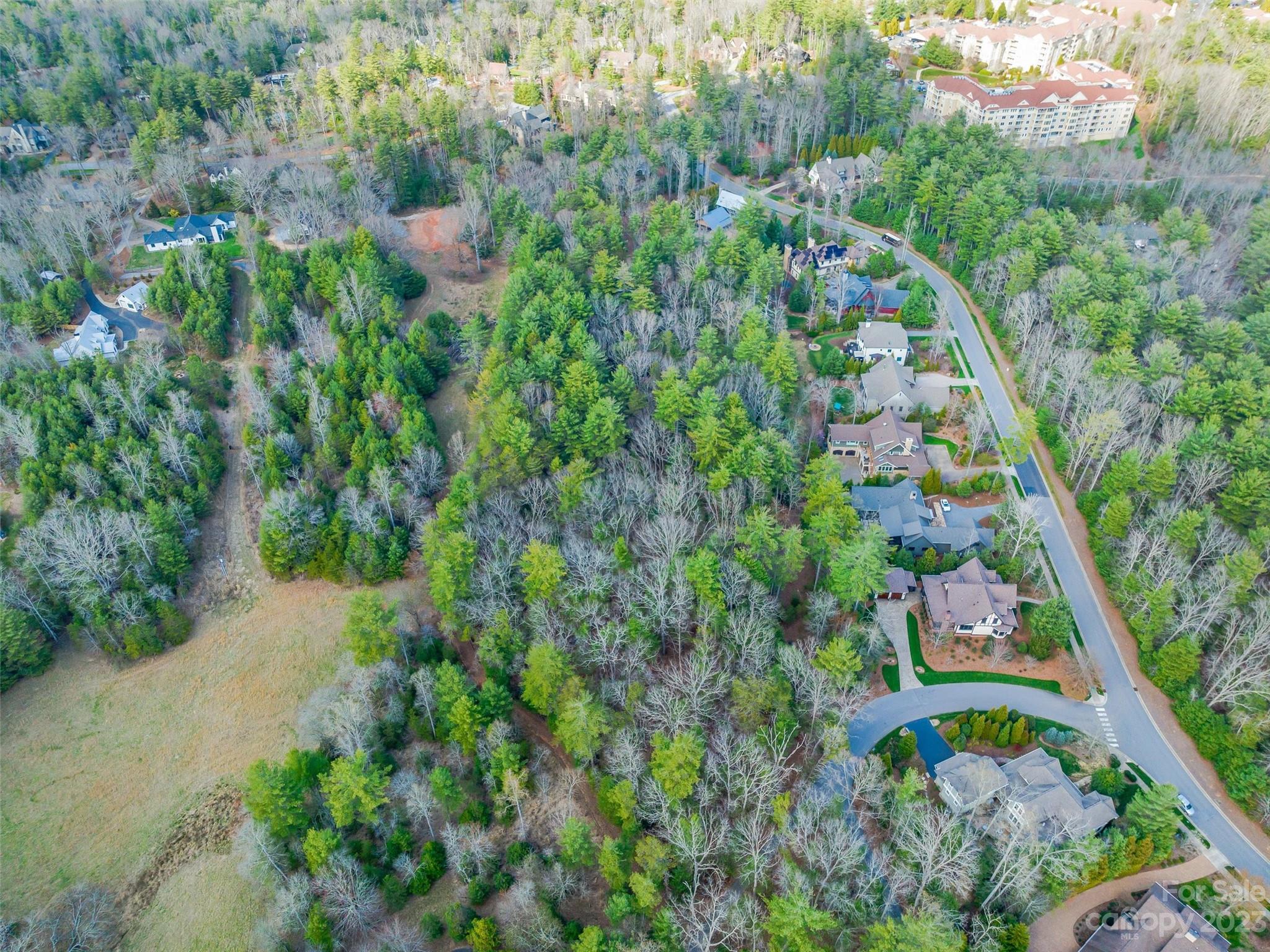 99999 A Racquet Club Road Asheville, NC 28803 - Photo 5 of 24 Gallery Image 5