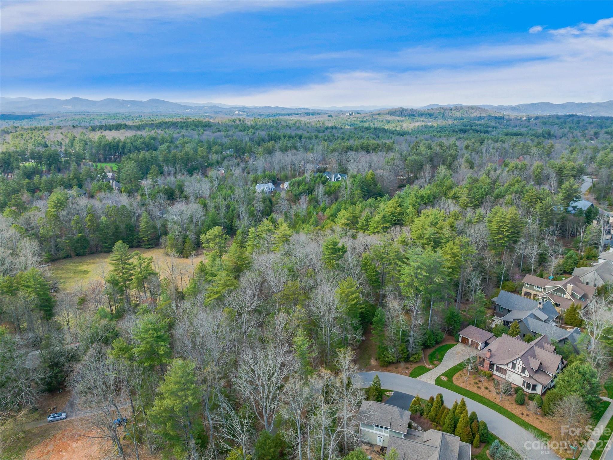 99999 A Racquet Club Road Asheville, NC 28803 - Photo 7 of 24 Gallery Image 7