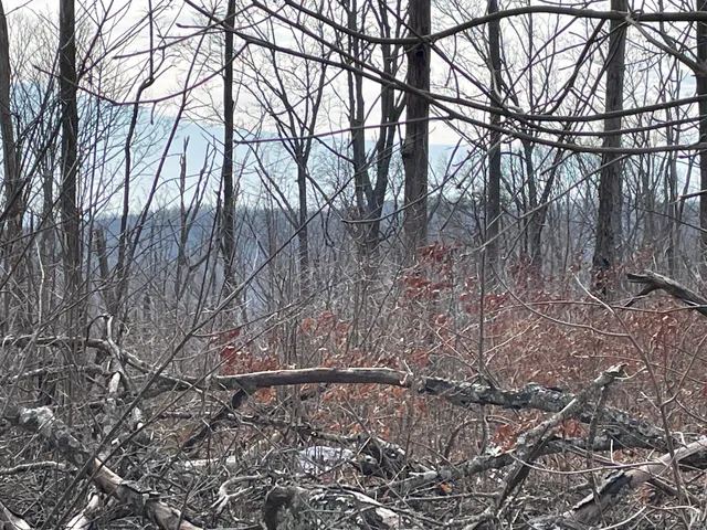 $48,000 | 0 Blue Berry Road, Crossville, TN 38572