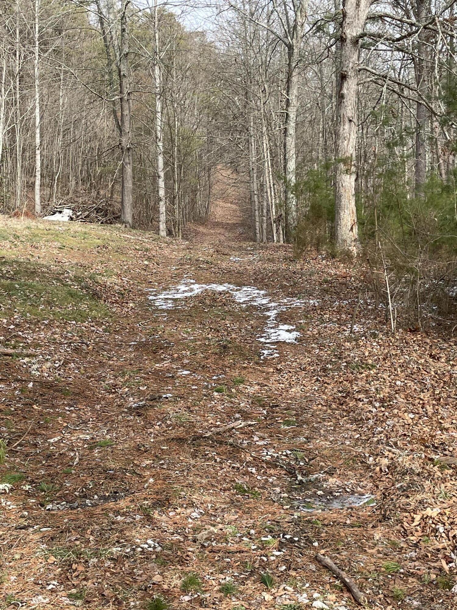 0 Blue Berry Road Crossville, TN 38572 - Photo 18 of 18 IMG_3230