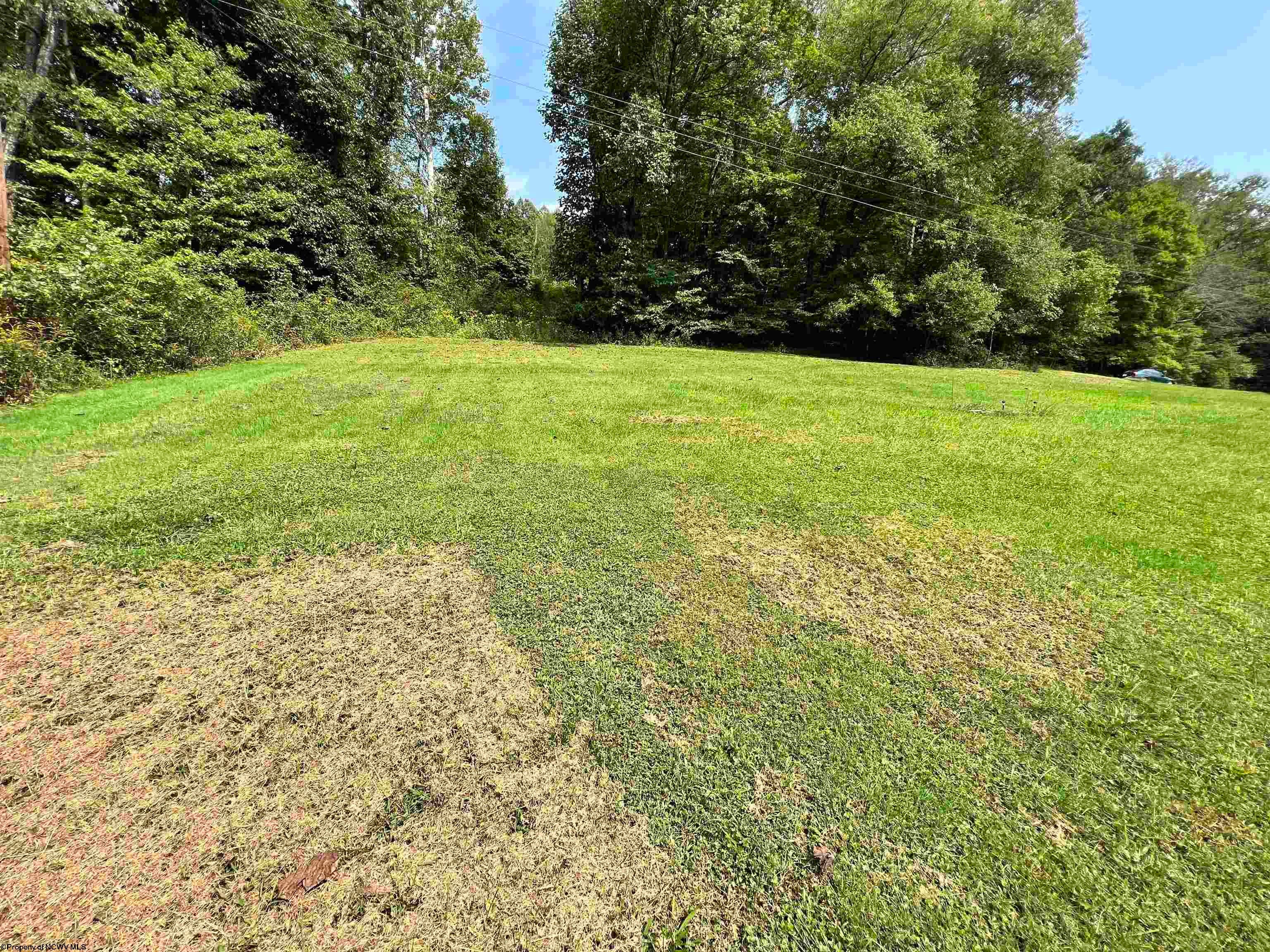 398 Helens Run Road Worthington, WV 26591 - Photo 19 of 26 Gallery Image 19