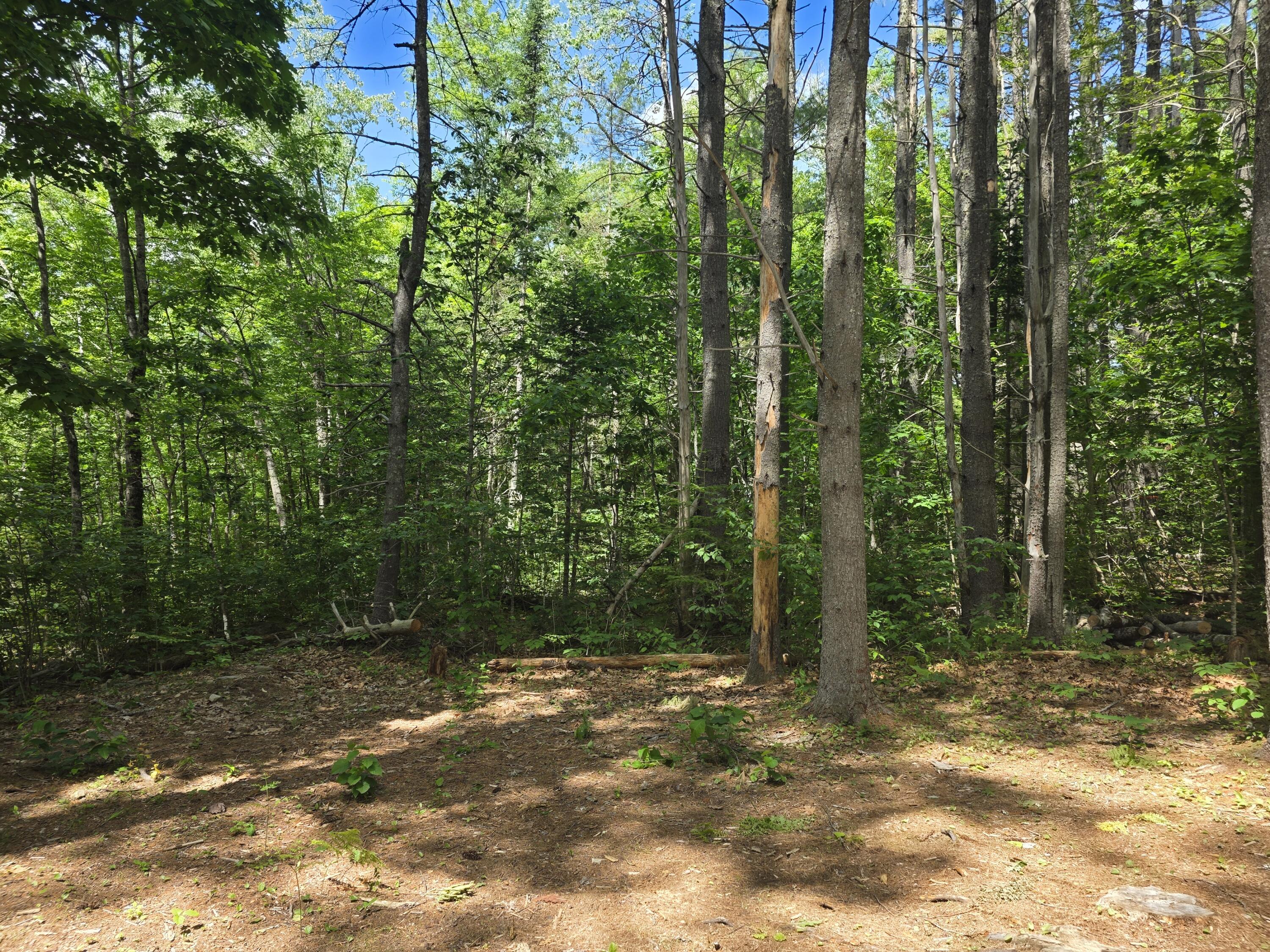 91 Frye Road Somerville, ME 04348 - Photo 7 of 12