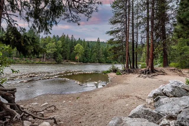 a view of a fire pit with large trees
