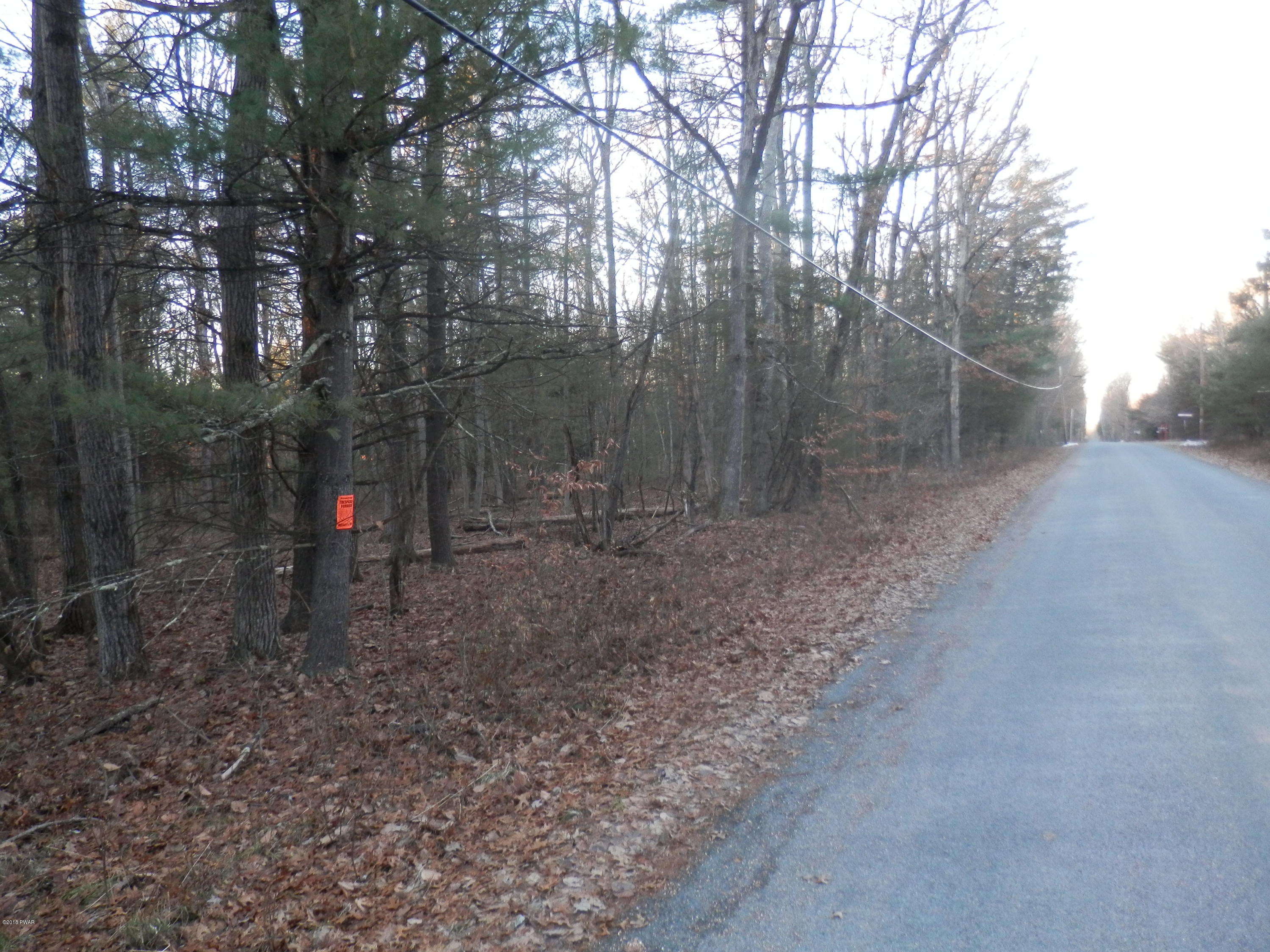 Cricket Hill Road Hawley, PA 18428 - Photo 6 of 16