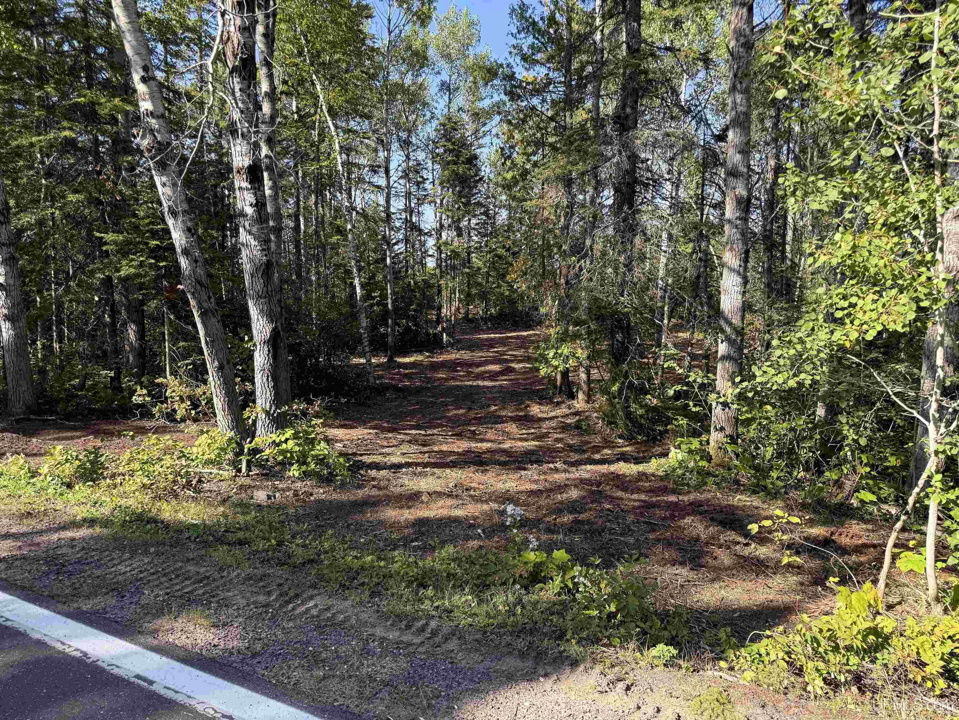 15-16 Highway M26 Road Mohawk, MI 49950 - Photo 20 of 31