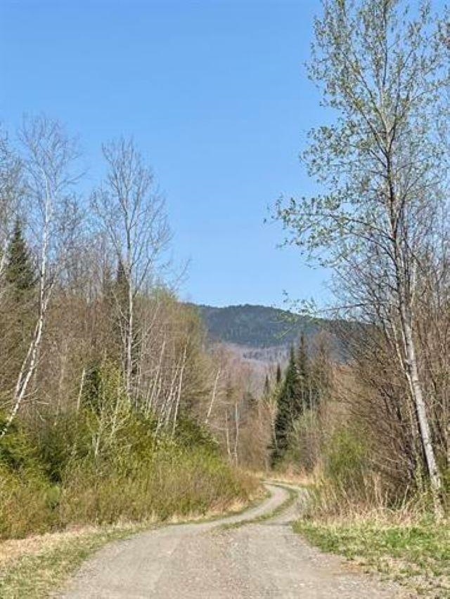 Simms Stream Road North Stratford, NH 03590 - Photo 4 of 5