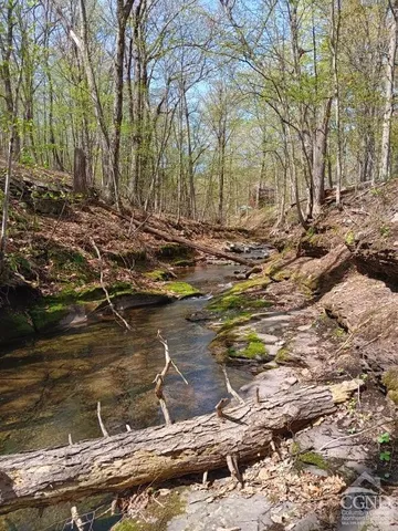 a view of a lake with a trees