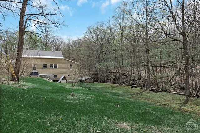 a view of a park with large trees