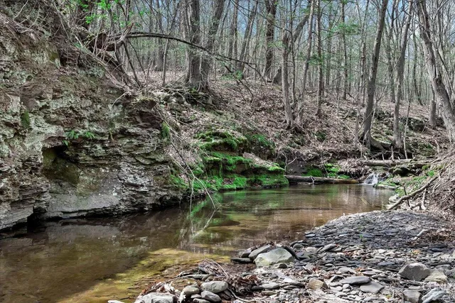 a view of a lake with large trees