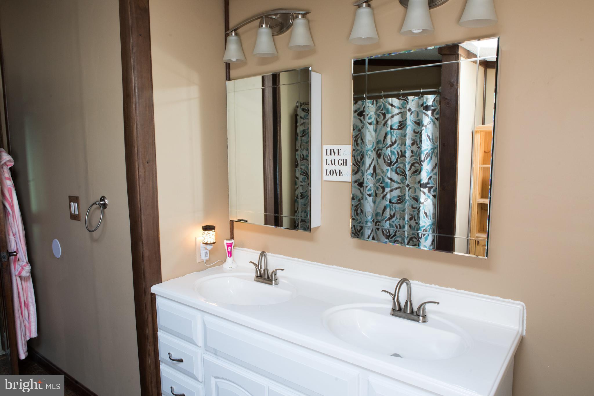248 Sand Mine Road Gore, VA 22637 - Photo 16 of 27 Double vanity in the master bath