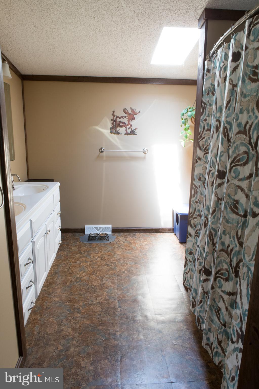 248 Sand Mine Road Gore, VA 22637 - Photo 18 of 27 Beautiful sky light in the master bath!